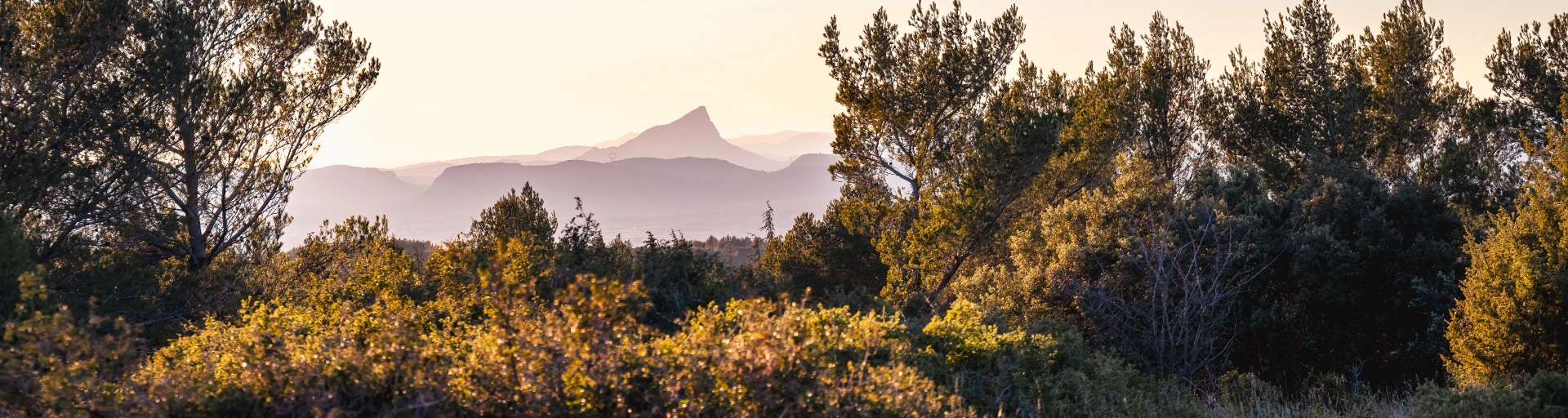 Locatifs de camping, dans la garrigue, du camping Les Lodges du Lagon.